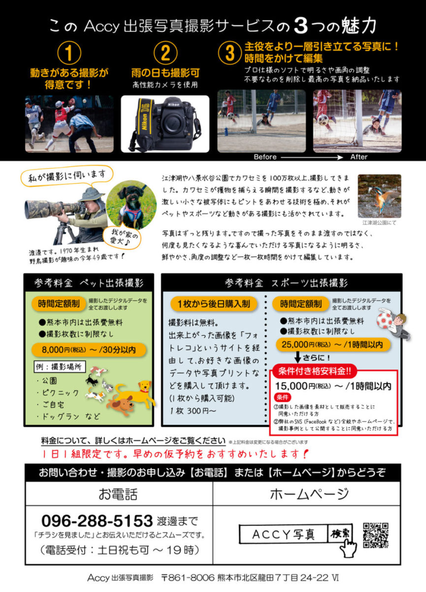 ACCY出張写真撮影 スポーツ・イベント・ペット